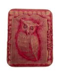 Rare antique Owl embossed hidden picture frame